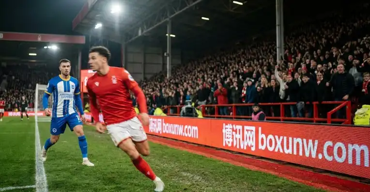 赔率突变！布莱顿客场遇冷？诺丁汉森林VS布莱顿，没那么简单